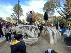 -宁波儿童公园(鄞州区)