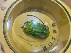 -上海昆虫博物馆