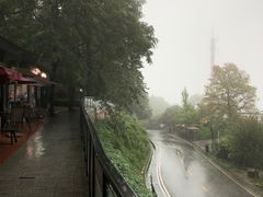 -茶颜悦色(岳麓山顶店)
