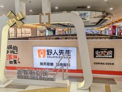 -野人先生Gelato(上海长宁龙之梦店)