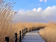 -野鸭湖国家湿地公园