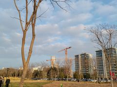 -上海山野camping·户外天幕烧烤·团建拓展营地