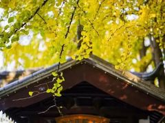 -苏州文庙(姑苏区)