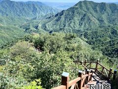 -大岭沟猕猴桃谷风景区