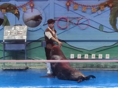 -石家庄极地海洋世界