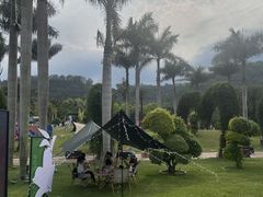 -东南花都花博园