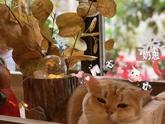 -咖法森林·咖啡  酒吧(天河店)