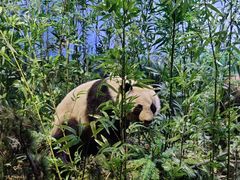 -陕西自然博物馆