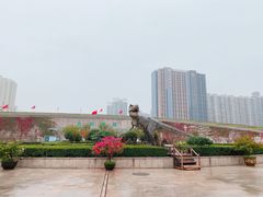 -陕西自然博物馆