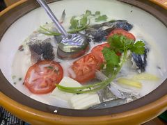 -全乐鱼馆·淳牌有机鱼直营店