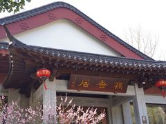 -雷峰塔·藕香居餐厅