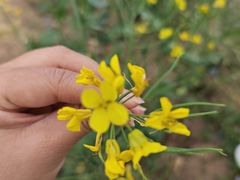 -汉长安城未央宫国家考古遗址公园
