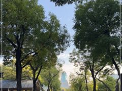 -文瀛公园