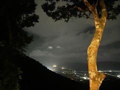 -三亚亚龙湾人间天堂鸟巢度假村