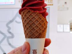 冰山杨梅脆筒-喜茶(广州滨江宏岸店)