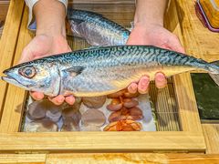 -镹·鱼料理  国产鱼使用店