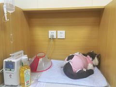 -美联众合爱康动物医院•复杂内科•肿瘤科•牙科•腔镜诊疗中心