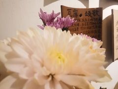 -瓦库茶馆17号(海汇港店)