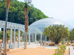 -深圳仙湖植物园