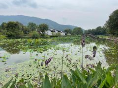 -呈坎景区