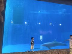 -华夏文旅海洋公园