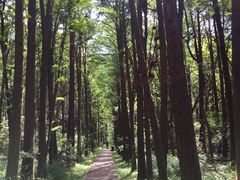 -同里国家湿地公园