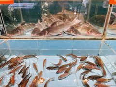-饭怕鱼(阳光100店)