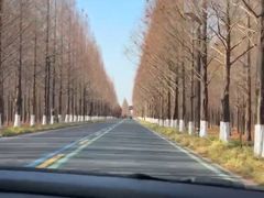 -黄海国家森林公园