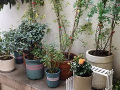 -Beans Solo豆号咖啡(百家湖花园店)