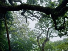 -普陀山慧济禅寺