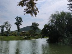 -桃花岛景观公园