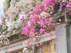 -深圳国际园林花卉博览园