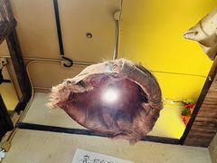 -泥糊破店小酒馆·团建聚餐(南京西路店)