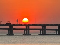 -宝安西湾红树林湿地公园