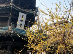 -大学习巷清真寺