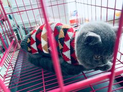 -百信宠物医院(东升街店)