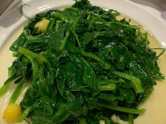 银杏豌豆尖-眉州东坡(上海中心店)