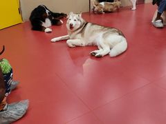 -和它·交个朋友·狗咖猫咖(爱琴海店)