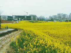 -白鹭湾湿地公园
