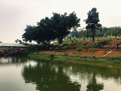 -松山湖梦幻百花洲
