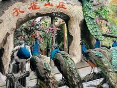 -西双版纳原始森林公园