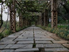 -北京张裕爱斐堡酒庄