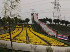-上海杨姆庄园