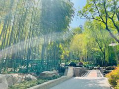 -九科绿洲