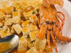 -海派悦庭·海胆烧麦·新融合菜(凯德广场店)