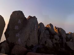 -白草畔自然风景区