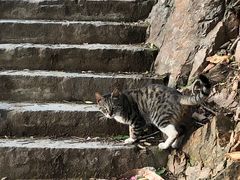 -长春观