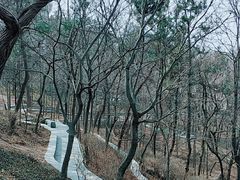 -观象山公园