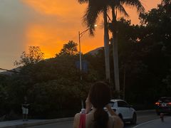 -西涌国际滨海旅游区