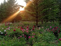 -长春公园(普阳街道)